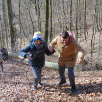 Cztery pory roku w Bażantarni