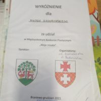 Elbląg - moje miasto