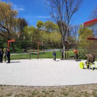 Wiosenne podchody w Parku Dolinka