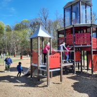 Wiosenne podchody w Parku Dolinka