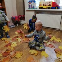 Bal Jesieni u Tygrysków Urwisków