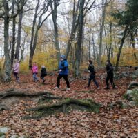 Wycieczka do Bażantarni