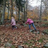 Wycieczka do Bażantarni