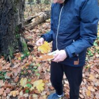 Wycieczka do Bażantarni