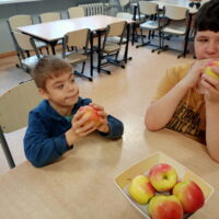obchodziliśmy w świetlicy święto jabłka