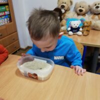 Dzień Pluszowego Misia u Tygrysków Urwisków