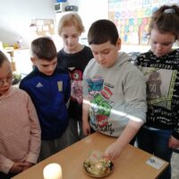 Z darami natury świat nie jest ponury