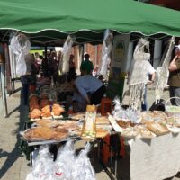 Odchody Tygodnia Osób Niepełnosprawnych