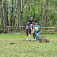 Regionalne Zawody Jeździeckie OLIMPIAD SPECJALNYCH