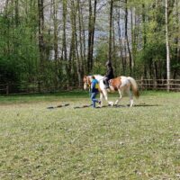 Regionalne Zawody Jeździeckie OLIMPIAD SPECJALNYCH