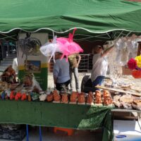 Odchody Tygodnia Osób Niepełnosprawnych