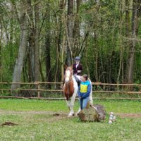 Regionalne Zawody Jeździeckie OLIMPIAD SPECJALNYCH