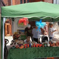 Odchody Tygodnia Osób Niepełnosprawnych