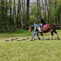 Regionalne Zawody Jeździeckie OLIMPIAD SPECJALNYCH