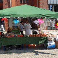 Odchody Tygodnia Osób Niepełnosprawnych