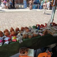 Odchody Tygodnia Osób Niepełnosprawnych