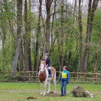 Regionalne Zawody Jeździeckie OLIMPIAD SPECJALNYCH