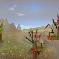 Majowe niespodzianki