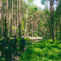 Zielona szkoła na Roztoczu