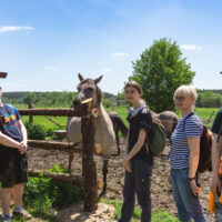 Zielona szkoła na Roztoczu