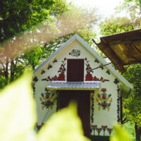 Zielona szkoła na Roiztoczu.