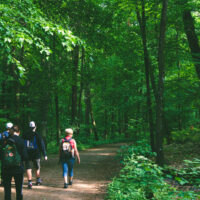 Zielona szkoła na Roztoczu