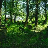 Zielona szkoła na Roztoczu