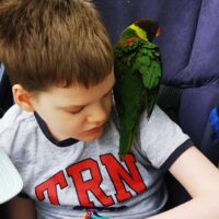 Uczniowie DPS na festynie