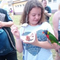 Festyn szkolny Zobacz uśmiech