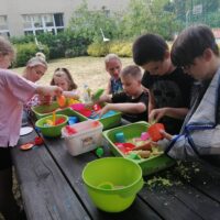 Festyn szkolny Zobacz uśmiech