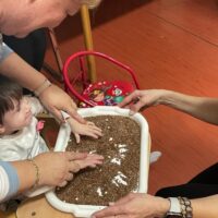 Dzień pluszowego misia