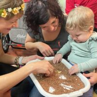 Dzień pluszowego misia