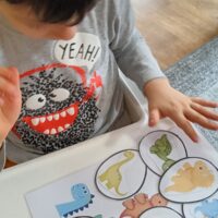 Przedszkole - dzień dinozaura