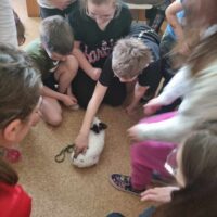 NIESPODZIEWANY GOŚĆ