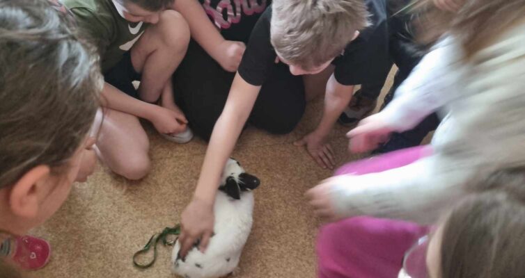 NIESPODZIEWANY GOŚĆ