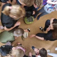 NIESPODZIEWANY GOŚĆ