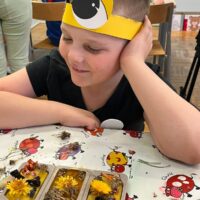 Zapylacze ratują świat