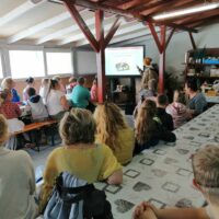 O pszczołach słów kilka