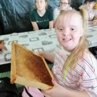 O pszczołach słów kilka