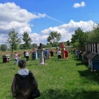 O pszczołach słów kilka