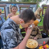 O pszczołach słów kilka